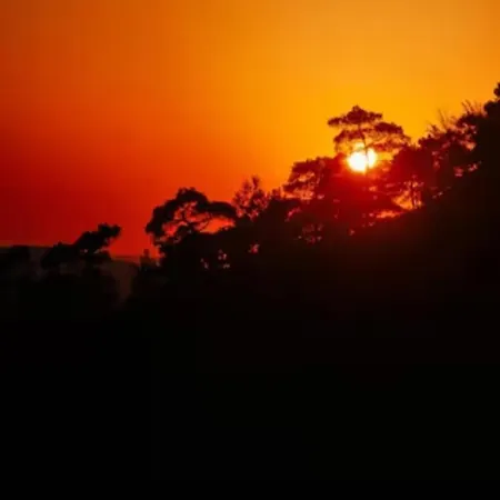 Explore Nature House *