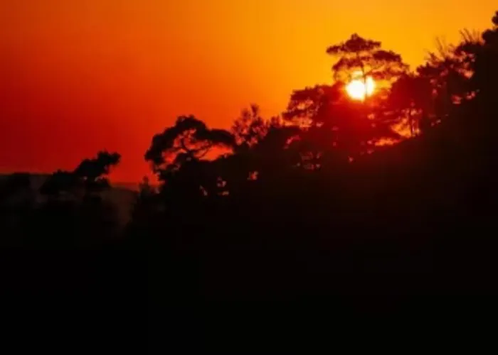 Explore Nature House *